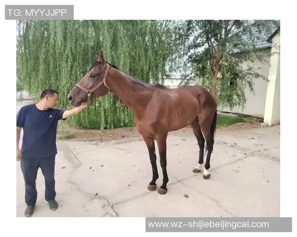 运动新闻巴伦西与马竟激战正酣谁能在这场对决中笑到最后 运动新闻巴伦西与马竟激战正酣谁能在这场对决中笑到最后